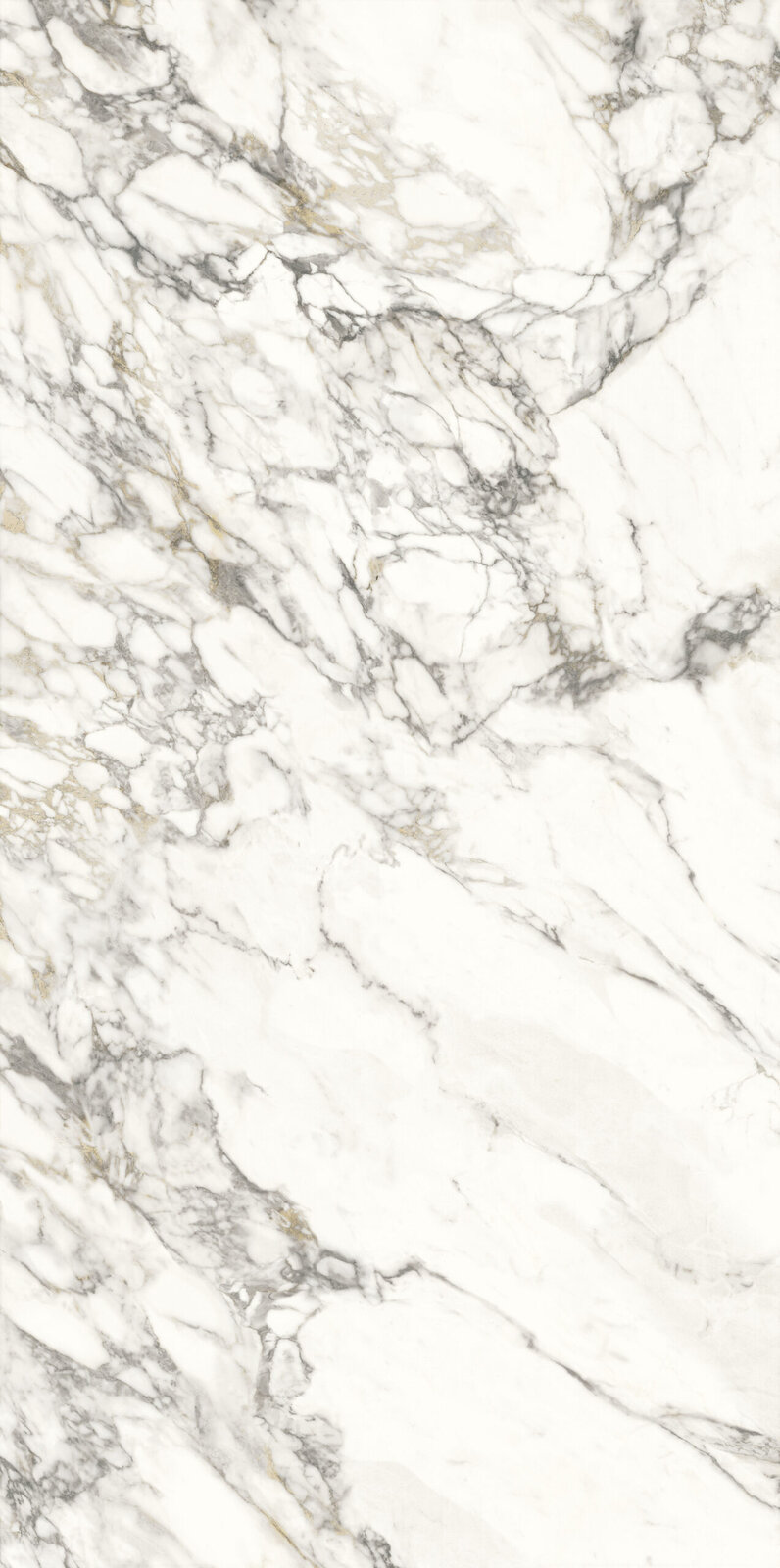 Slab CERAMICA ARABESCATO