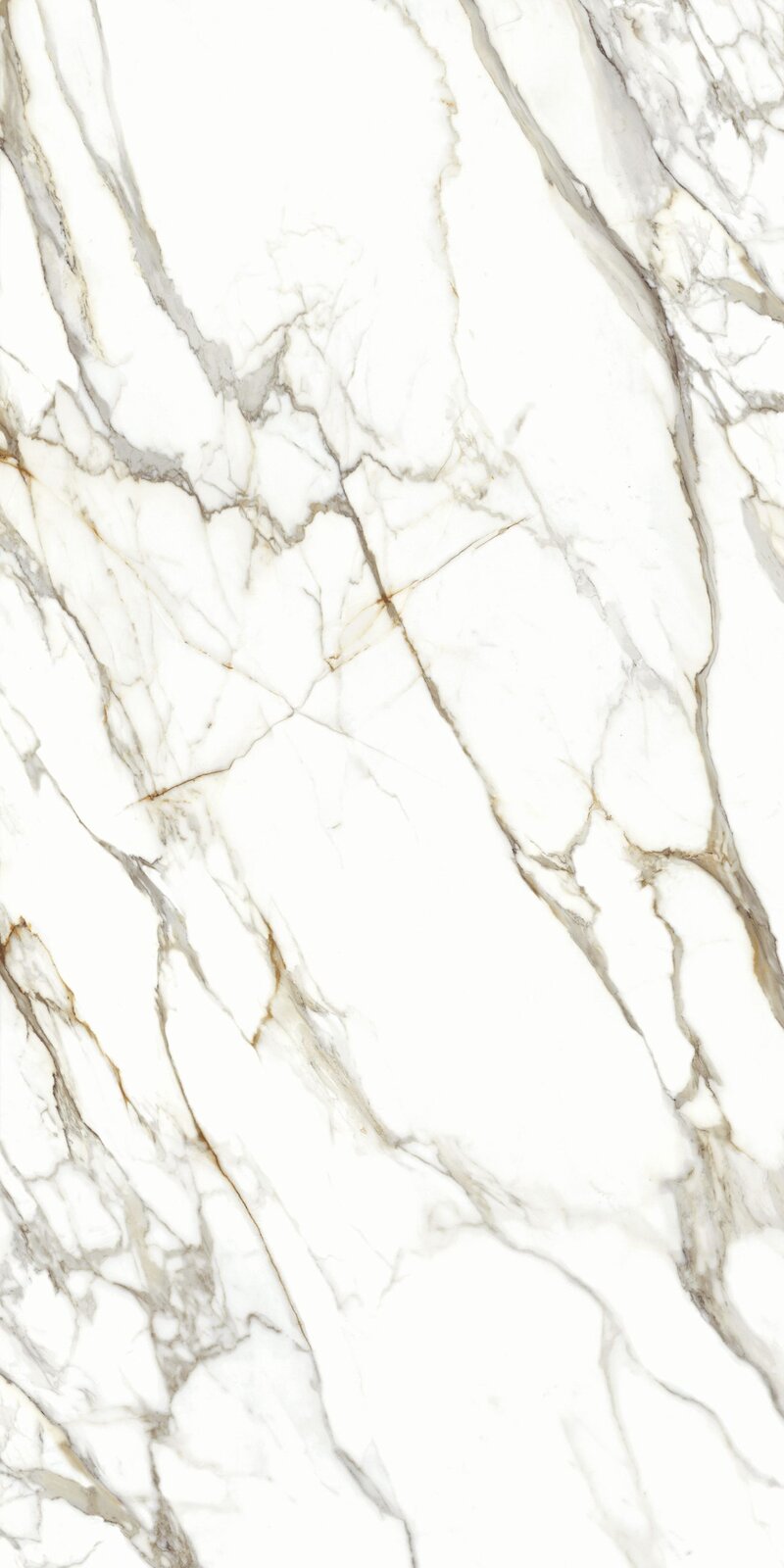 Lastra CERAMICA CALACATTA DORATO