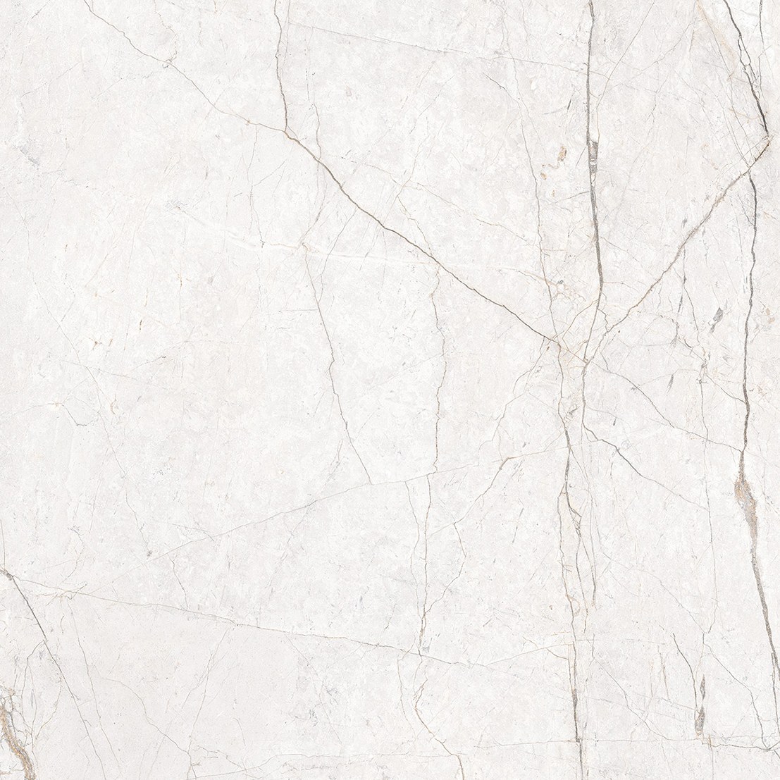 Lastra CERAMICA EKXTRA SILVER ROOT WHITE