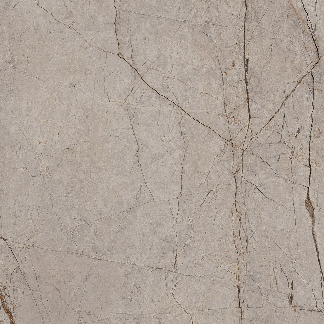 Lastra CERAMICA EKXTRA SILVER ROOT GREY
