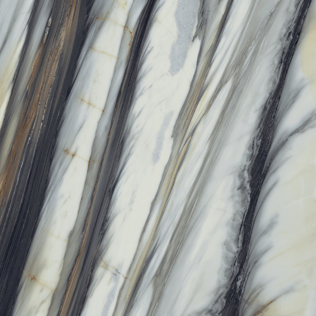 Lastra CERAMICA OYSTER WILD FOREST